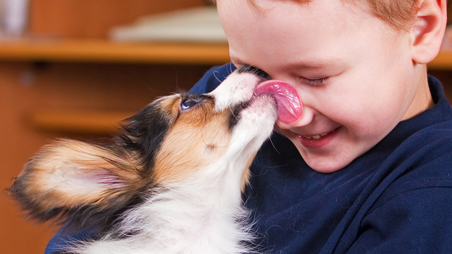 Imagem do Artigo: A IMPORTÂNCIA DOS PETS NO TRATAMENTO DE BULLYING